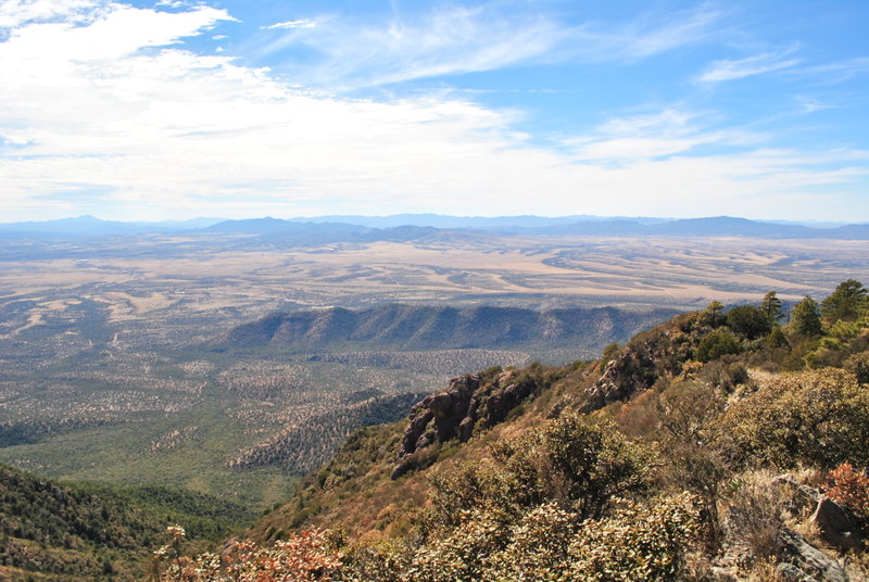 Lone Mountain from top of trail #117.