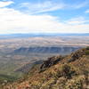 Lone Mountain from top of trail #117.