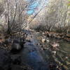 Little Blitzen Gorge Trail crossing the Little Blitzen River near the trailhead (10-29-2020).