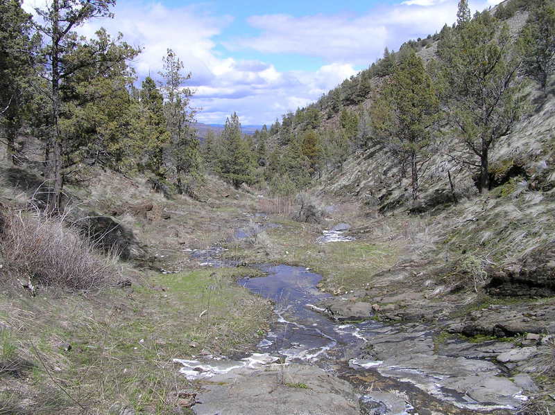 Upper section where intermittent stream flows down canyon (04-12-2019)