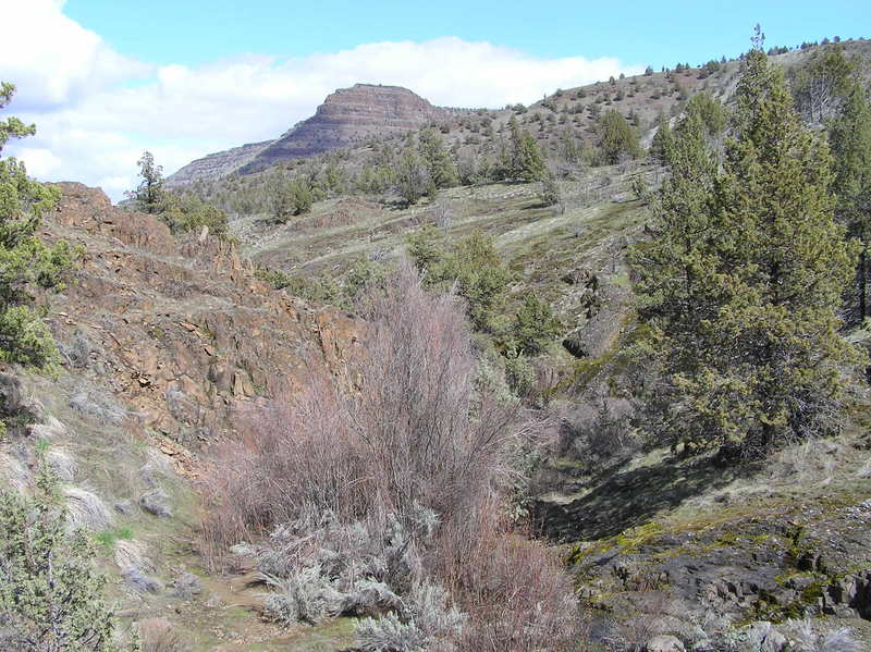 Exit from brush-choked section about 1 1/2 miles from trailhead (04-12-2019)