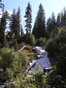 East Fork Wallowa River near top of ravine (10-03-2017).