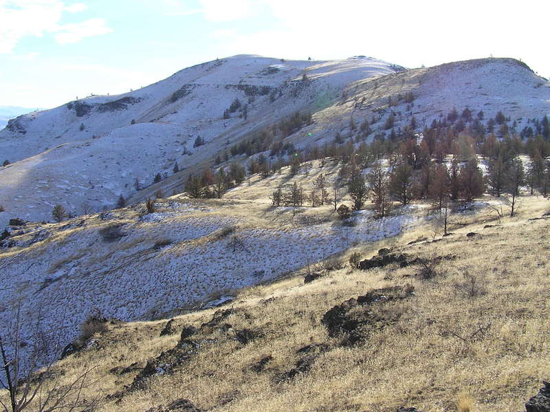 Horse Mtn from north trailhead. (01-02-2019)