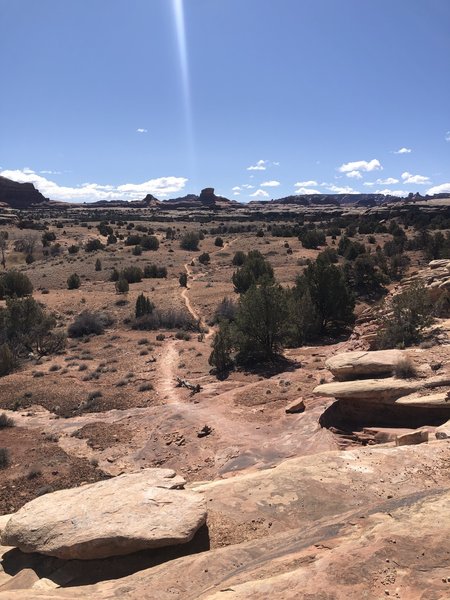 Amazing sandy dirt singletrack.