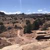 Amazing sandy dirt singletrack.