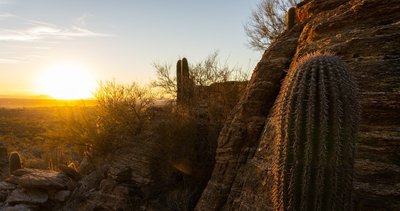 Sunset from the bottom of Tanque Verde Ridge