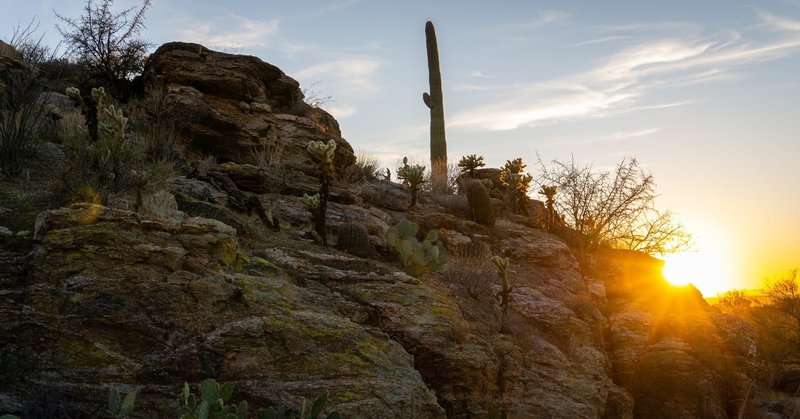 Sunset light from the rocks below Tanque Verde.