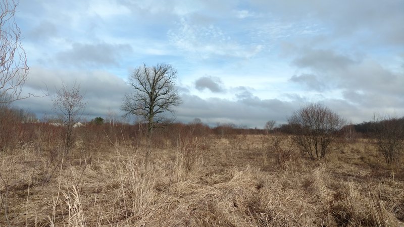 The meadow of Coyote Run