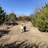 Wide path through the Juniper Scrub.