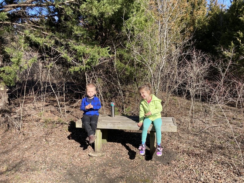 One of several benches