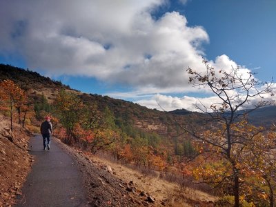 Fall colors along the ADA Trail