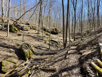 Dry creek bed along the Boot Bridge Trail.