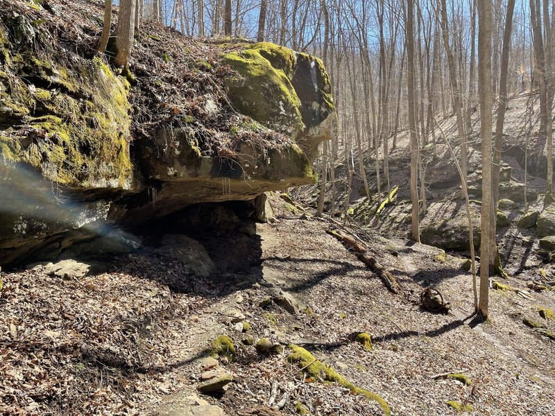 Ensure you duck along this portion of the Boot Bridge Trail.