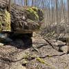 Ensure you duck along this portion of the Boot Bridge Trail.