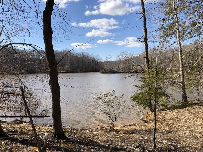 Trail near the water