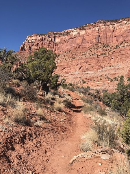 Climbing out of a wash with beautiful views of the red cliffs.