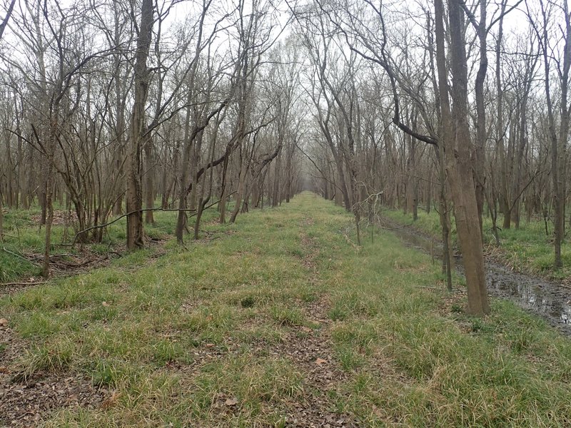 Miles Trail, old farm road, typical scenery.