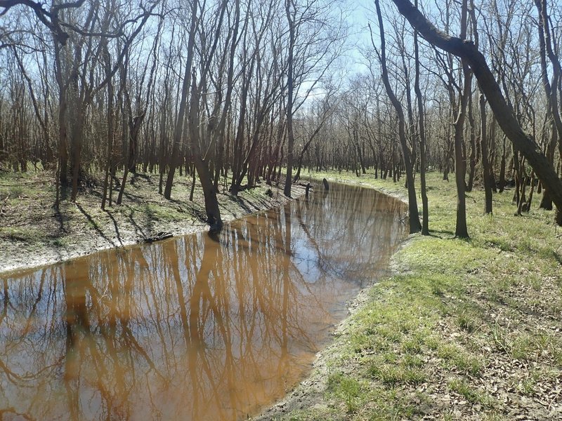 Bauer Trail, south part, Turkey Creek can be quite lovely! It is very shallow here.