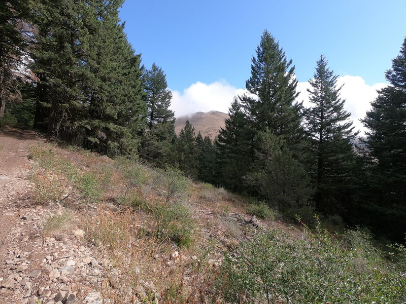 Fields Peak from trail (09-11-2019).