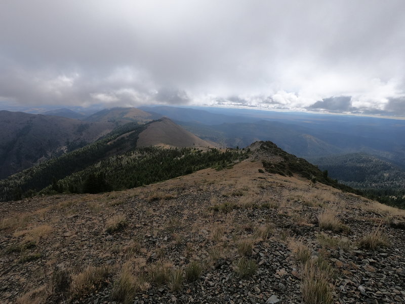 View east from the Fields Peak summit showing McClellan Mountain in distance (09-11-2019).