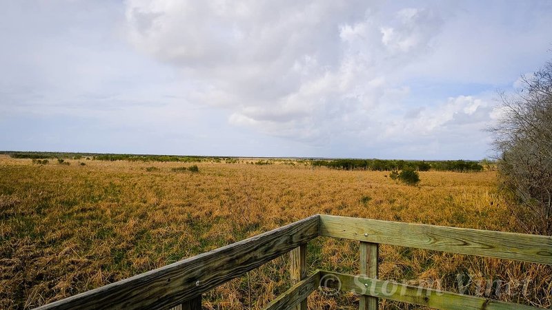 Here's the end of the boardwalk where you and your family can enjoy the scenery and open space to relax any aching muscles before the walk back.