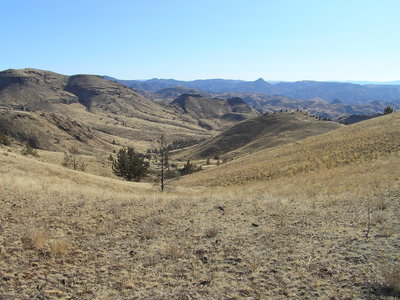 Looking south over Spring Basin from trail. Horse Mountain is on left (11-08-2018).