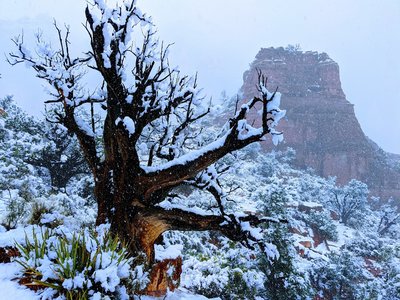 Great hike even with snow.
