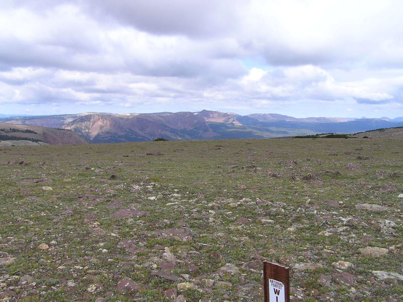 View west from High Uintas Wilderness boundary on Dry Ridge (08-17-2005).