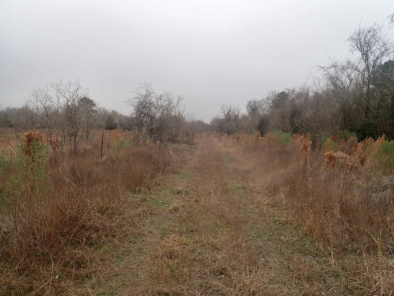 Trail going east from Eldridge