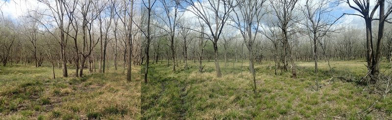 Bear Creek to Chatterton Trail, east of Turkey Creek.