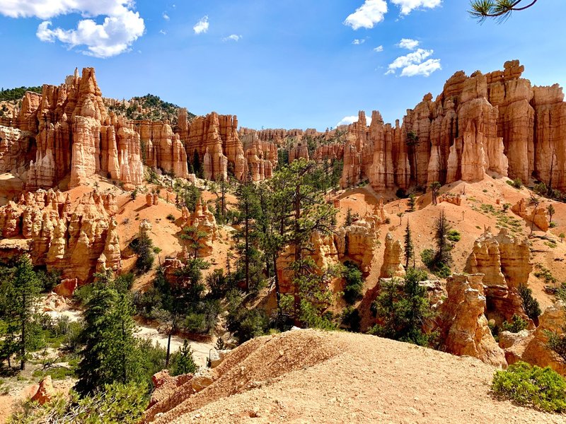 The views along this trail are stunning. The ponderosa pines really complement the vivid orange terrain.