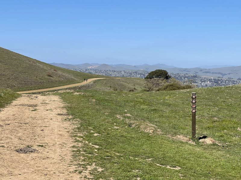 Trail crossings