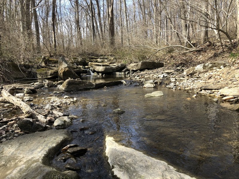 Gently flowing waters highlight this trail