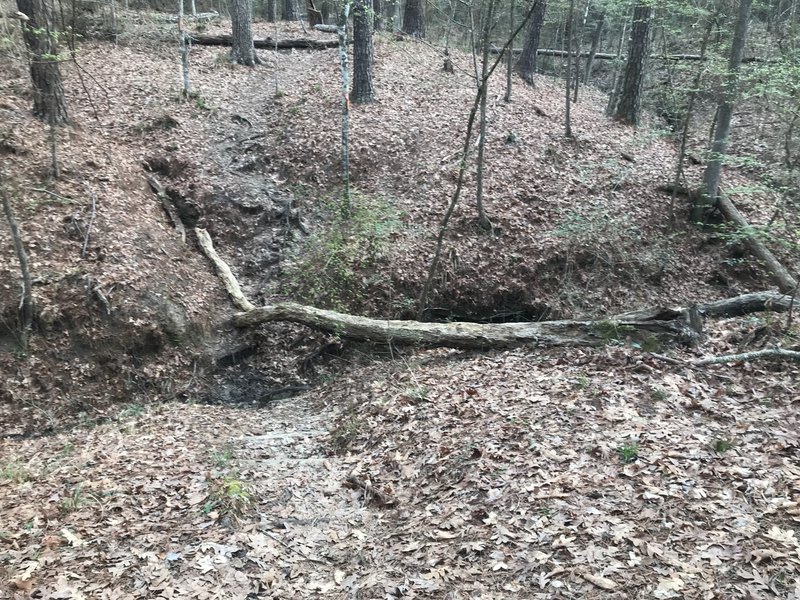 One of the many creek crossings - muddy but jumpable.