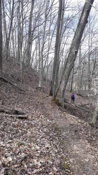 Ravine Trail