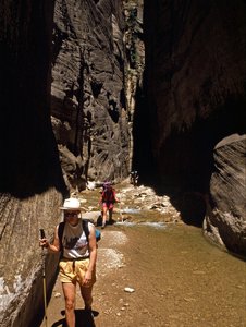 In the canyon of the North Fork of the Virgin River