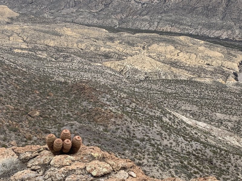 At the Eastern end of the Fresno Rim Trail