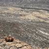 At the Eastern end of the Fresno Rim Trail