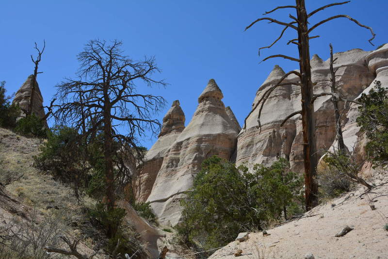 Hoodoos from volcanic tuft along slot canyon trail at Tent Rocks.