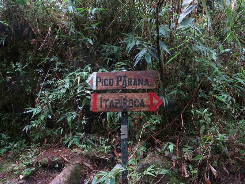 Signing on bifurcation of the Trilha Pico Paraná.