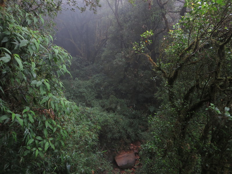 Small view of the trail passing on the bottom, close to the boulder.