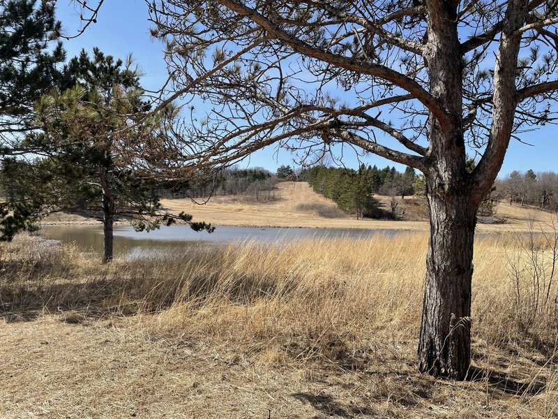 Small pond seen from the trail.