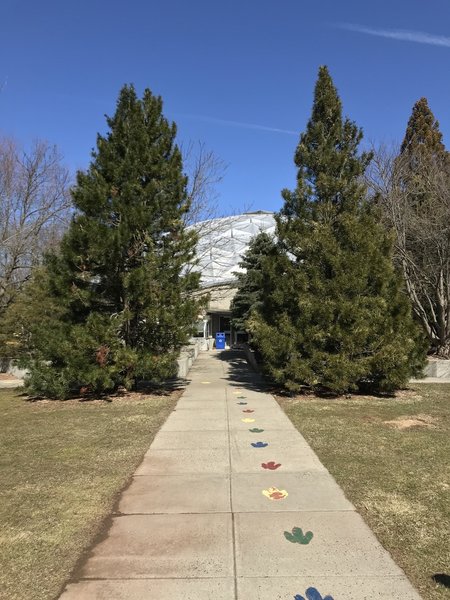 The Dinosaur Trackway