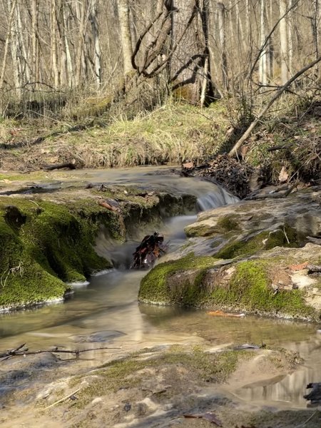 Creek along the north-side of Trace Trail.