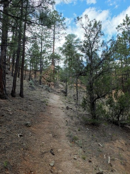 Trail view