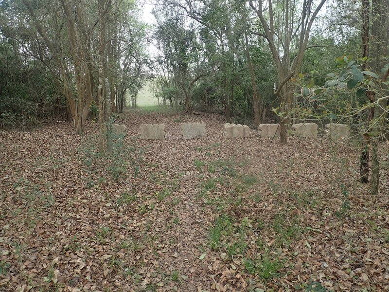 From parking on the west end of Hammerly, the trail west towards the dike.