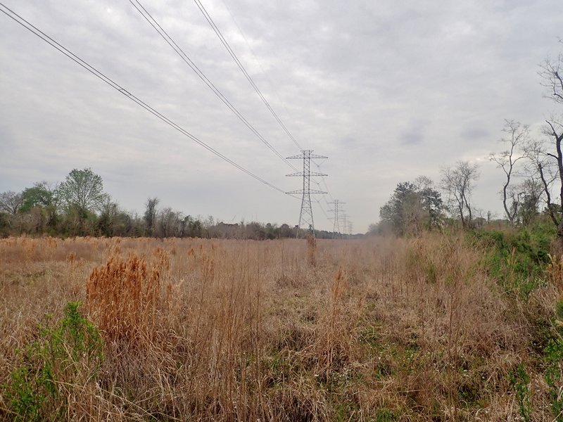 The power line cut running north-south inside the dike.