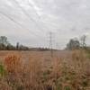 The power line cut running north-south inside the dike.