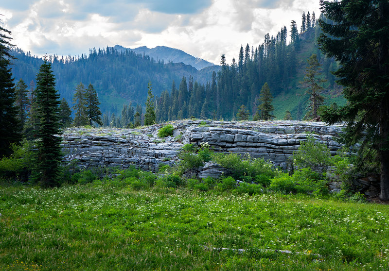 Campsite in Marble Meadows