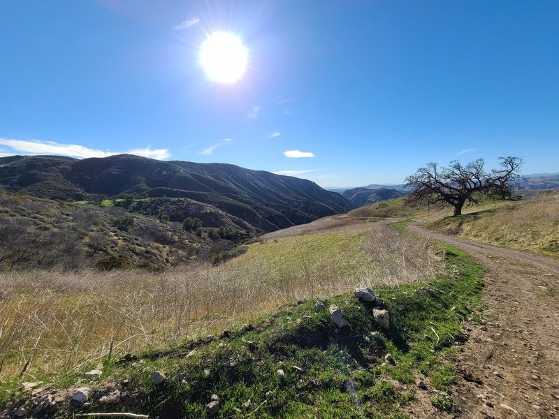 Almost to the intersection with Rocky Peak Fire Road, looking back down the canyon you just climbed up.